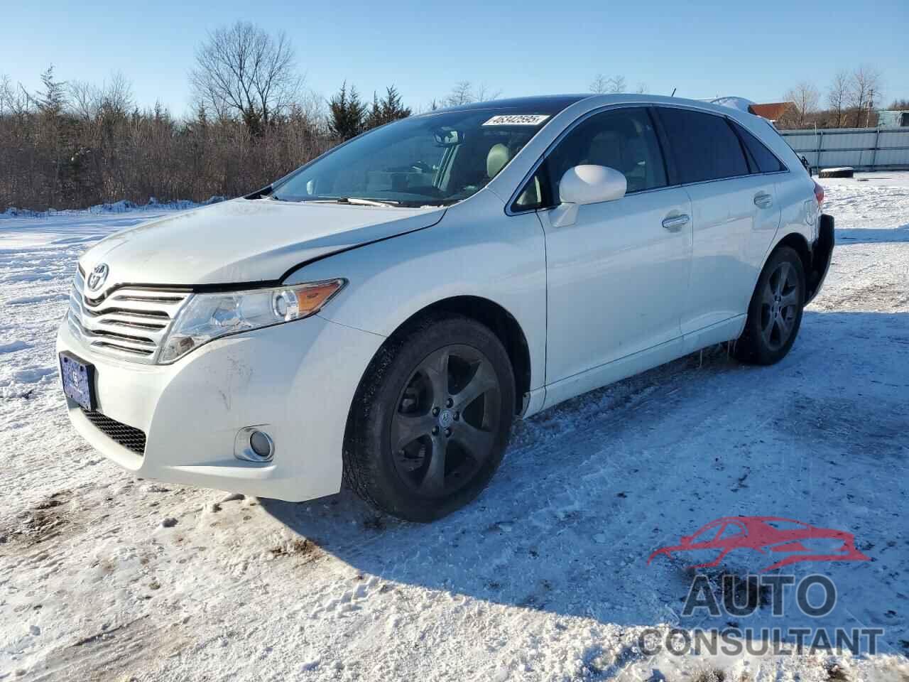 TOYOTA VENZA 2009 - 4T3BK11A49U023757