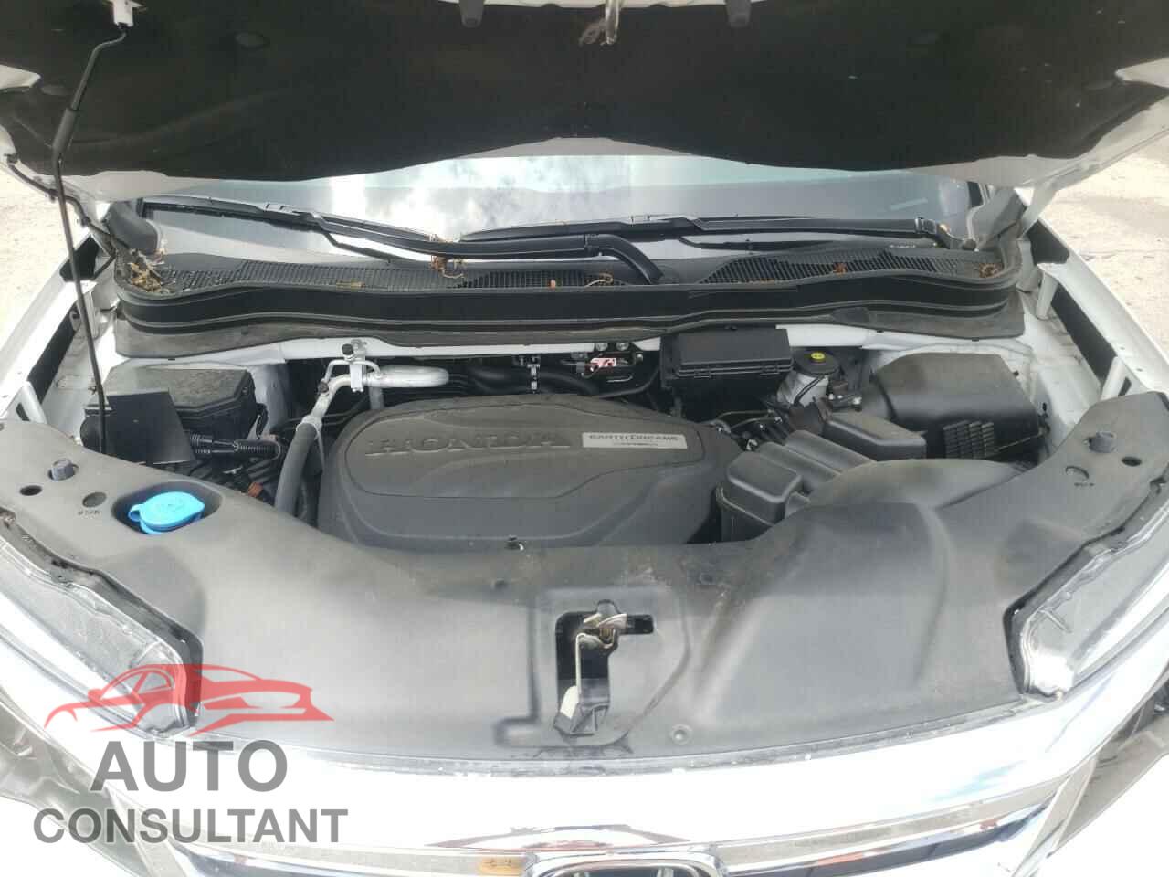 HONDA PILOT 2020 - 5FNYF6H56LB013717