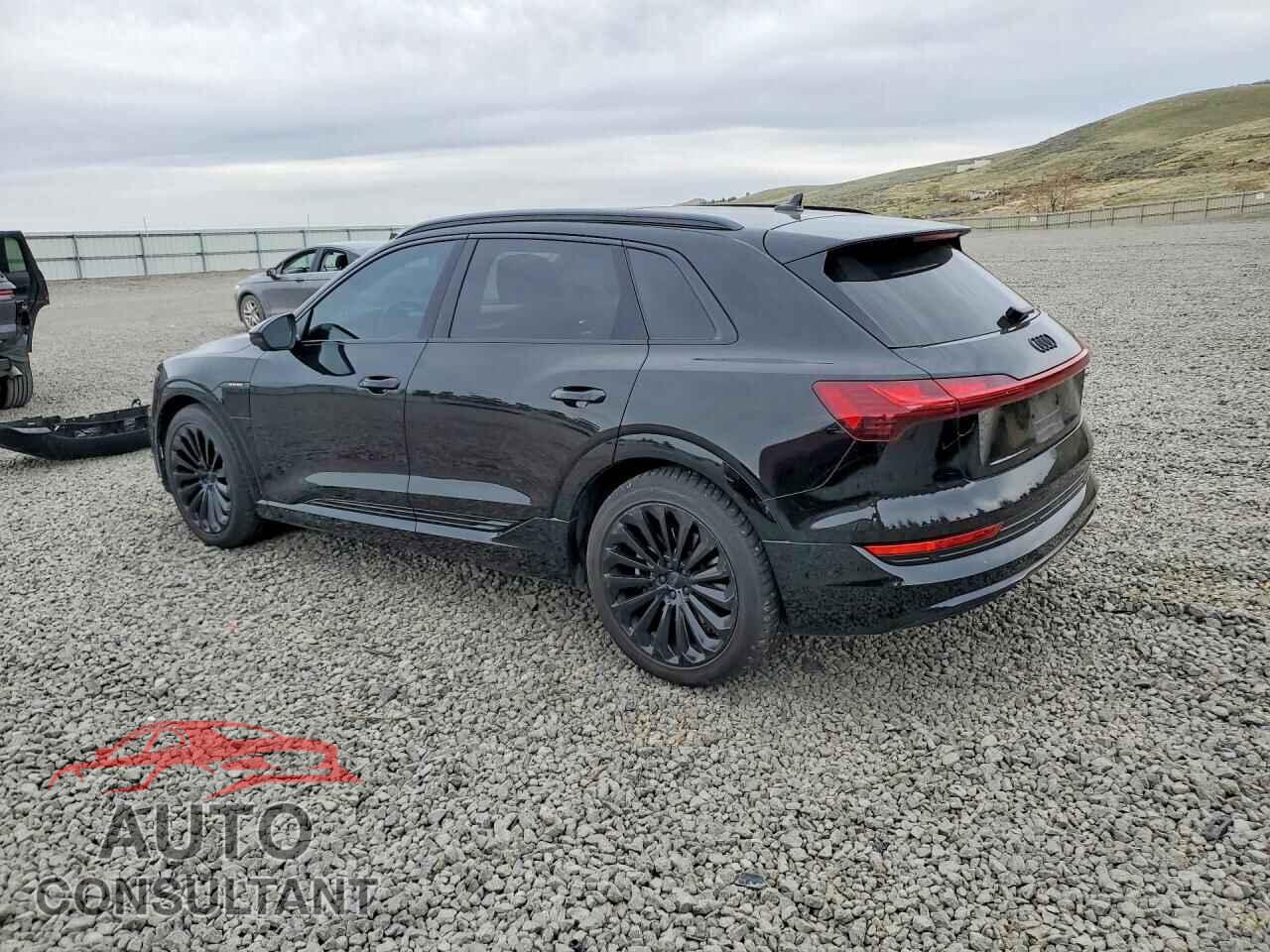 AUDI E-TRON 2019 - WA1VAAGE4KB009196