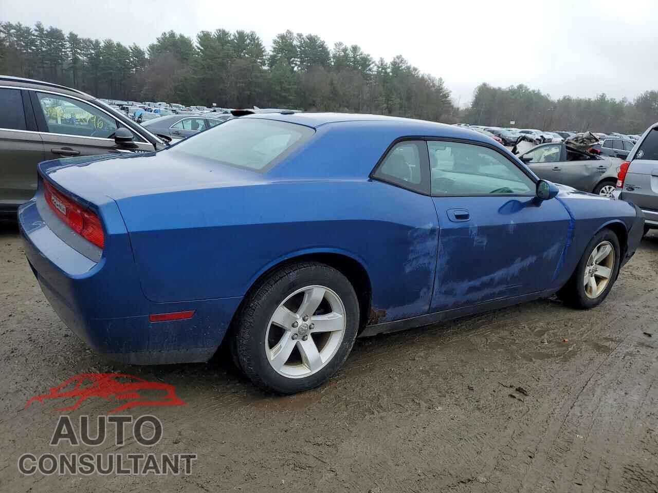 DODGE CHALLENGER 2010 - 2B3CJ4DVXAH217738