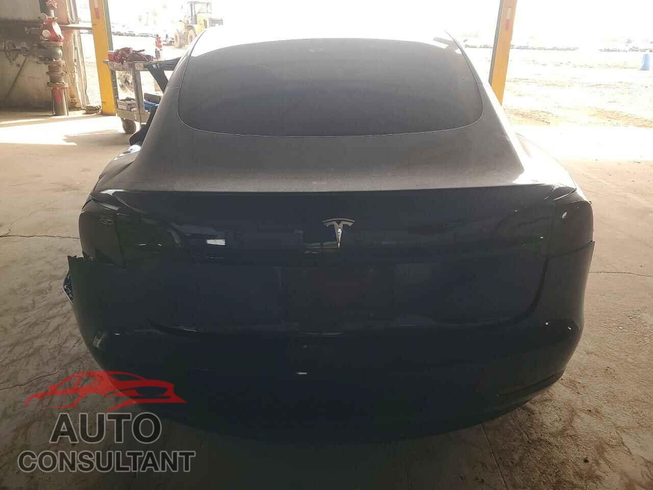 TESLA MODEL 3 2019 - 5YJ3E1EA2KF435953