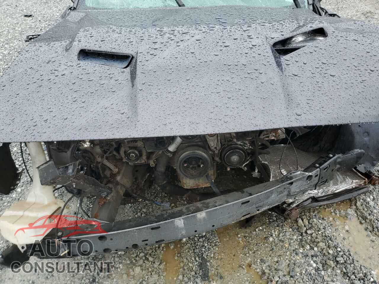 DODGE CHALLENGER 2017 - 2C3CDZBT7HH609059
