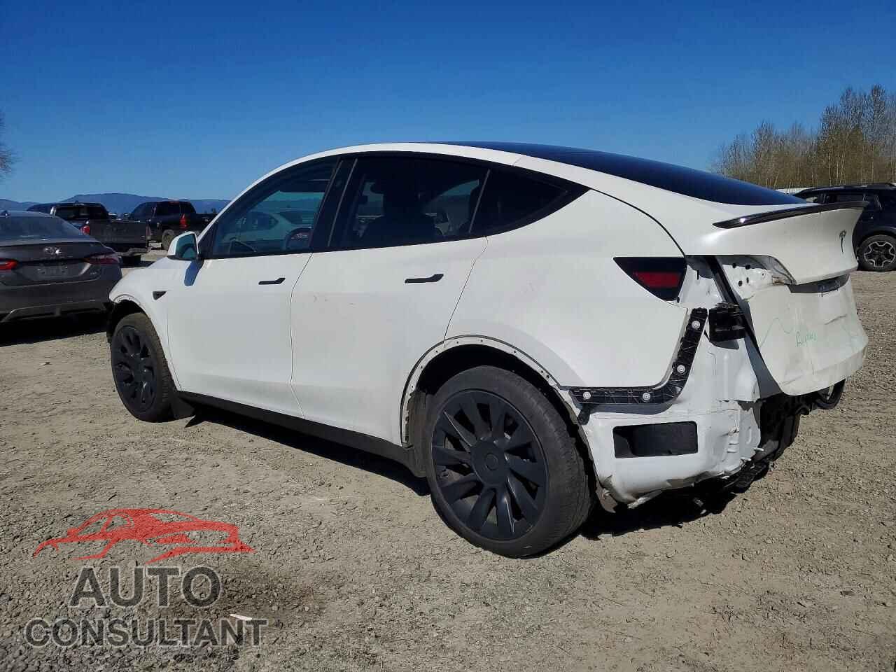 TESLA MODEL Y 2024 - 7SAYGDEE4RF126583