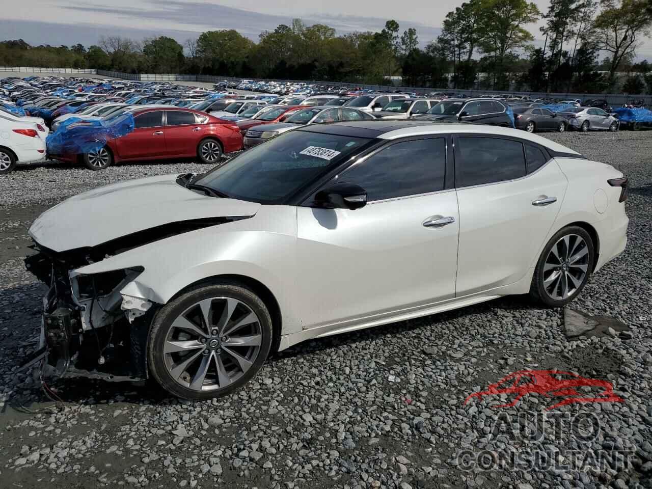 NISSAN MAXIMA 2021 - 1N4AA6FV7MC508001