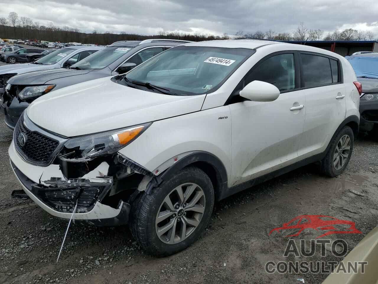 KIA SPORTAGE 2016 - KNDPBCAC7G7880666