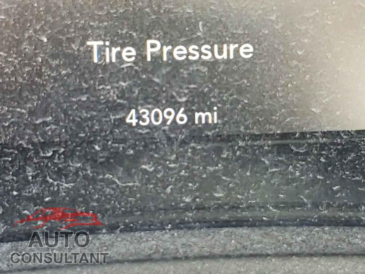 DODGE CHALLENGER 2019 - 2C3CDZFJ1KH552082