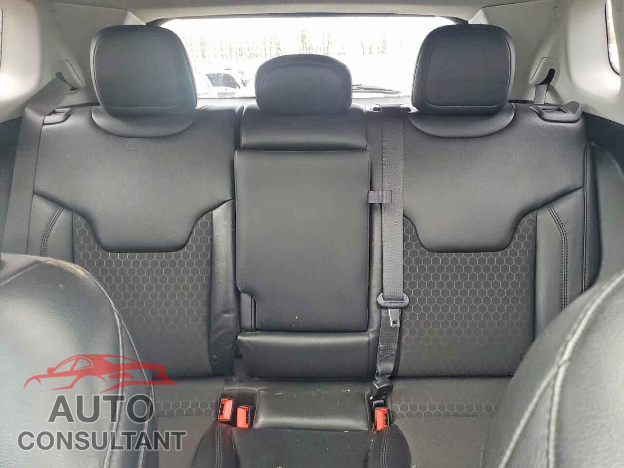 JEEP COMPASS 2020 - 3C4NJDBBXLT161813
