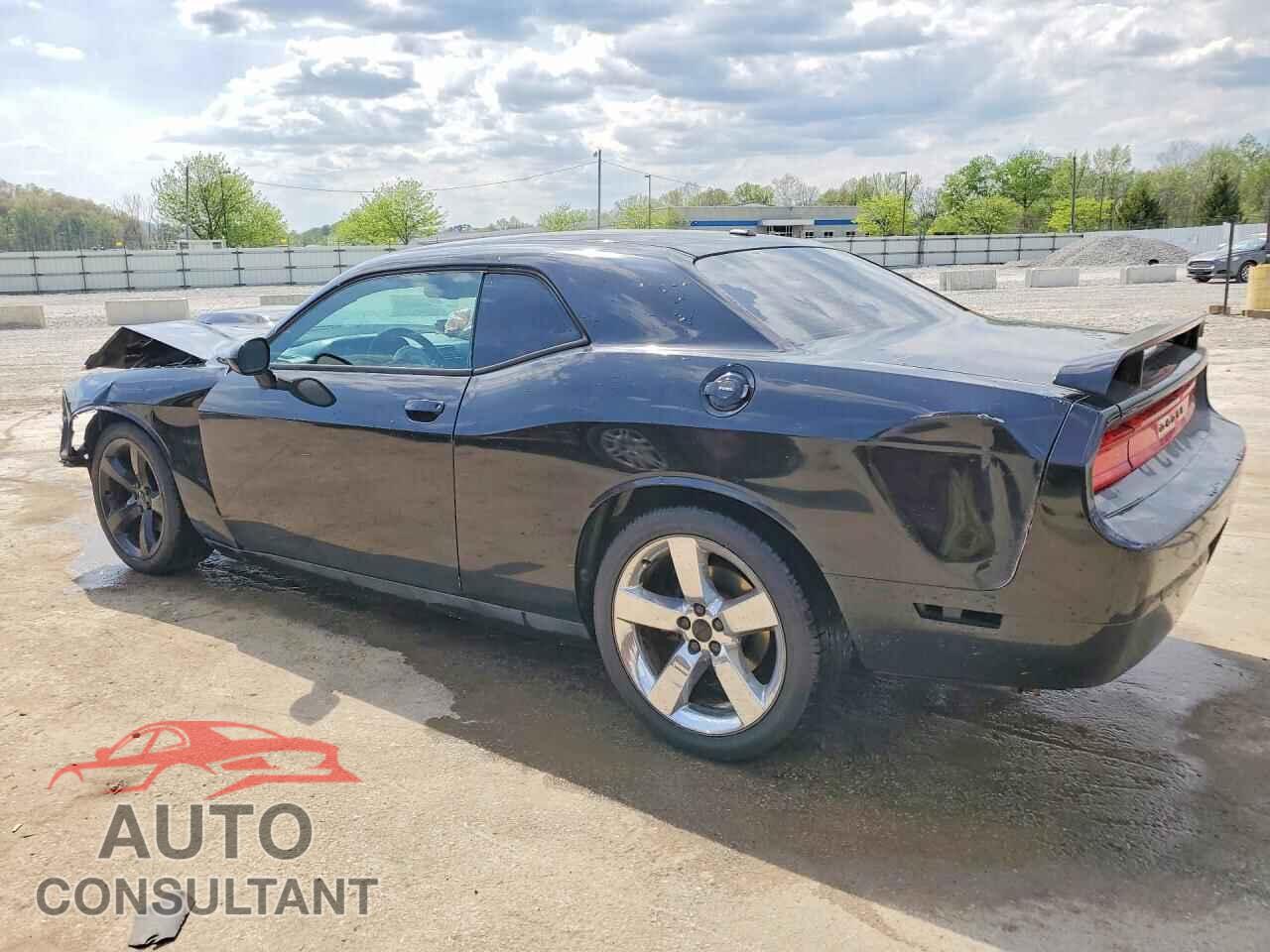 DODGE CHALLENGER 2014 - 2C3CDYBT4EH284358