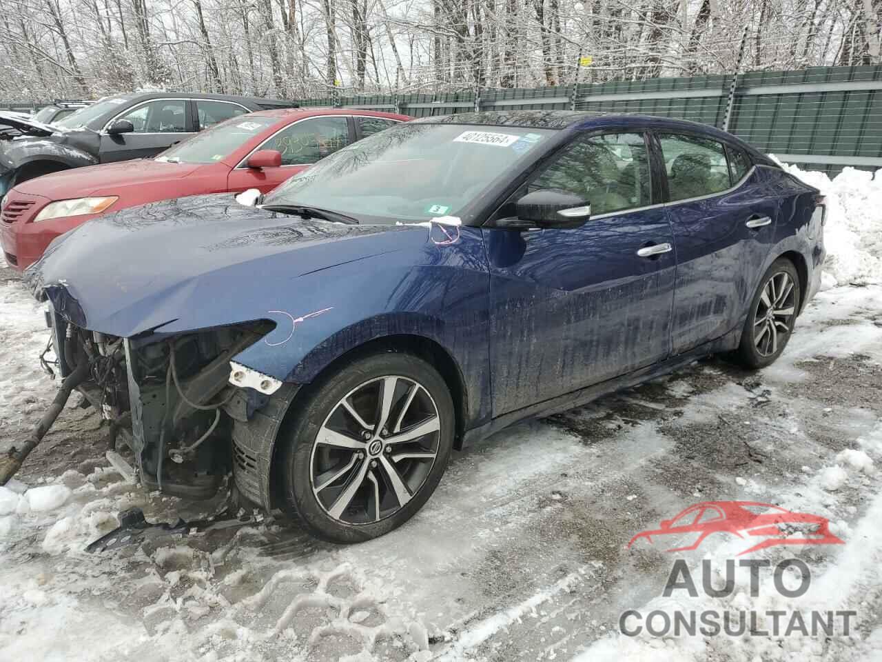 NISSAN MAXIMA 2019 - 1N4AA6AV9KC370224