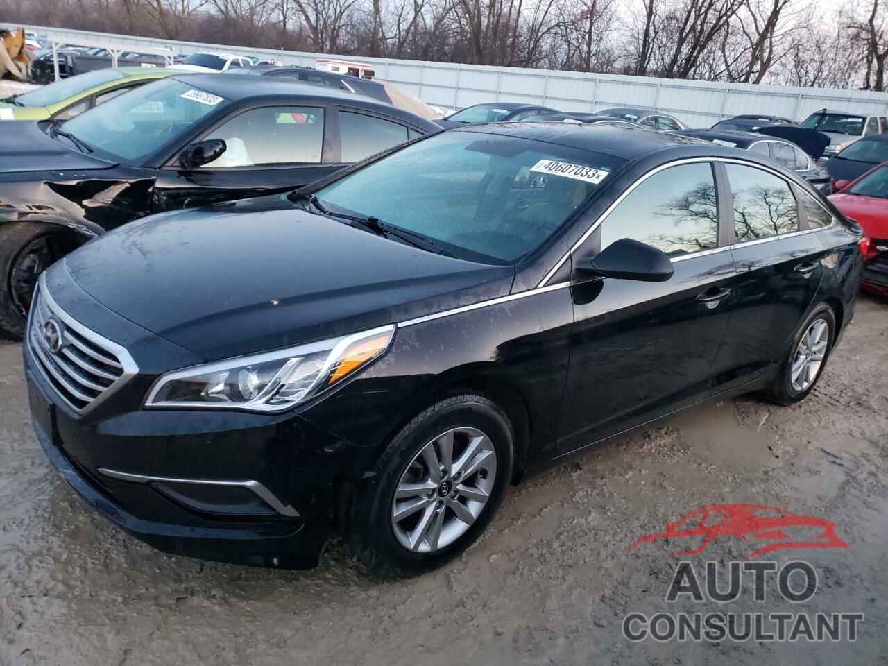HYUNDAI SONATA 2016 - 5NPE24AF6GH263889