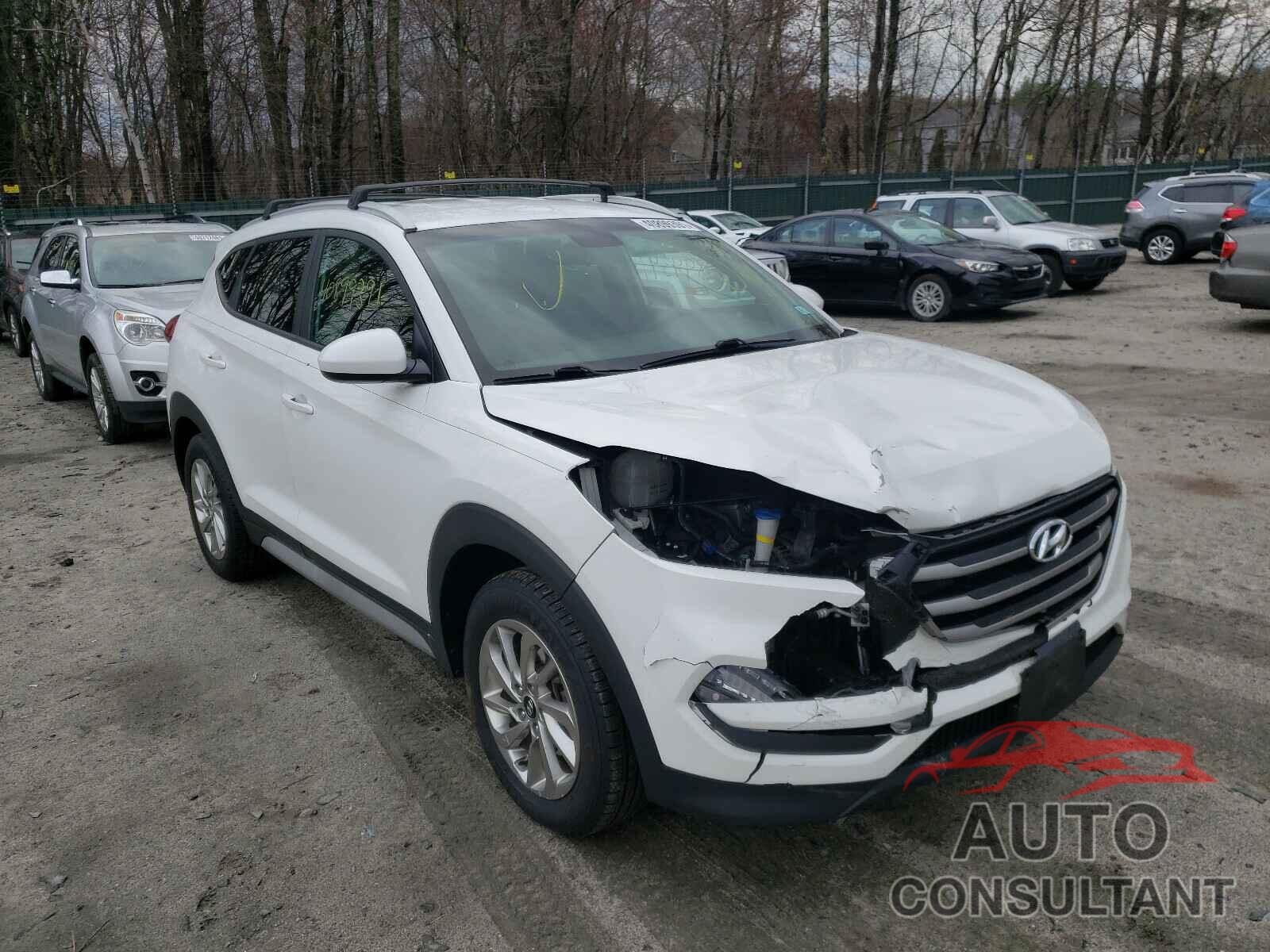 HYUNDAI TUCSON 2017 - KM8J3CA44HU504727