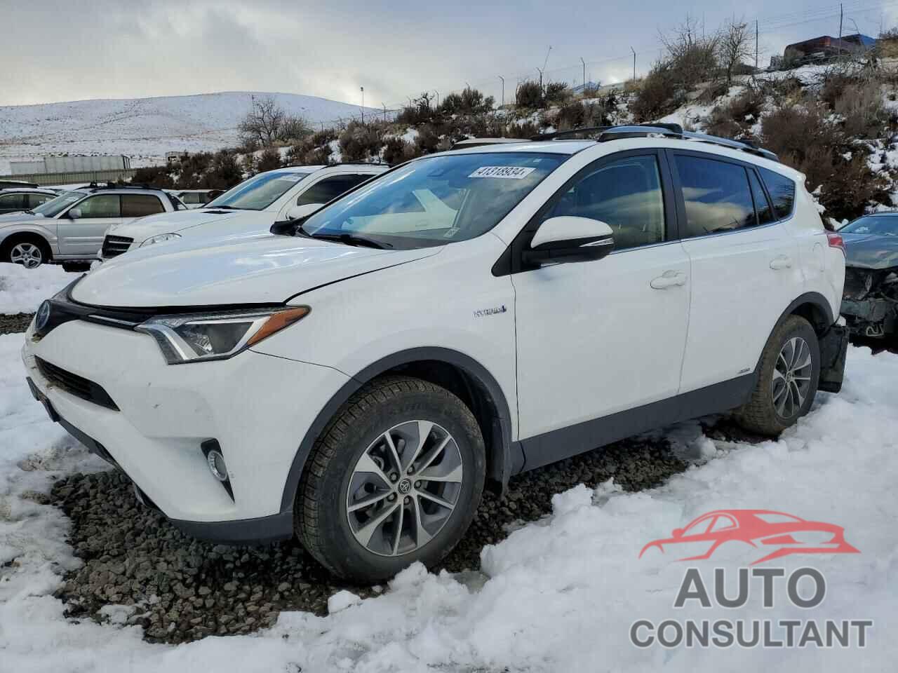 TOYOTA RAV4 2017 - JTMRJREV2HD147339