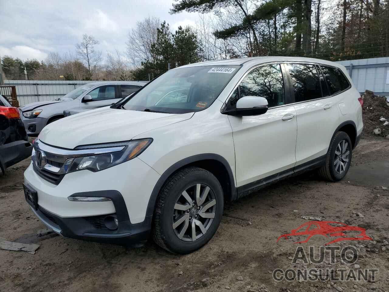 HONDA PILOT 2019 - 5FNYF6H58KB044353