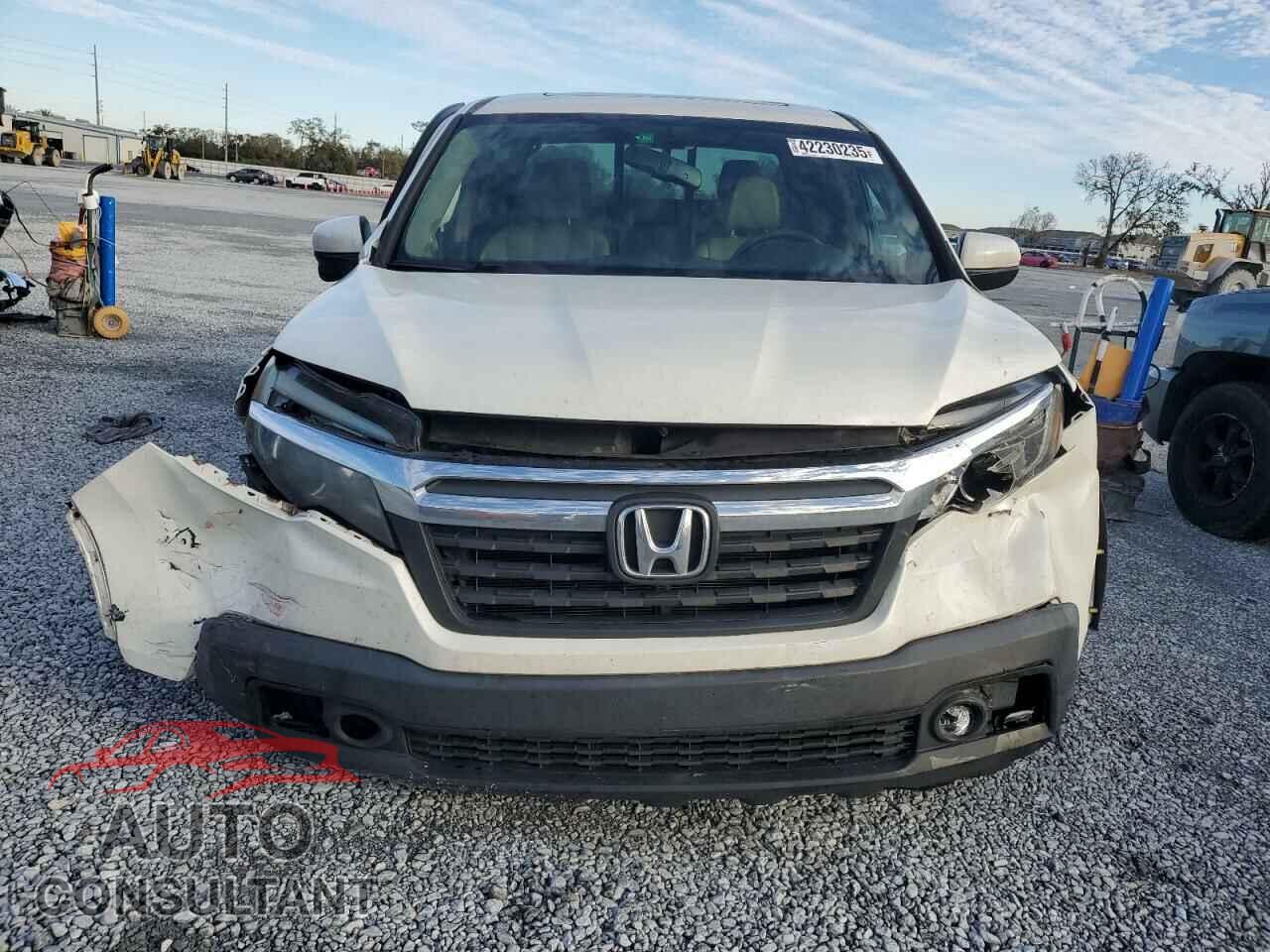 HONDA RIDGELINE 2019 - 5FPYK2F63KB002874
