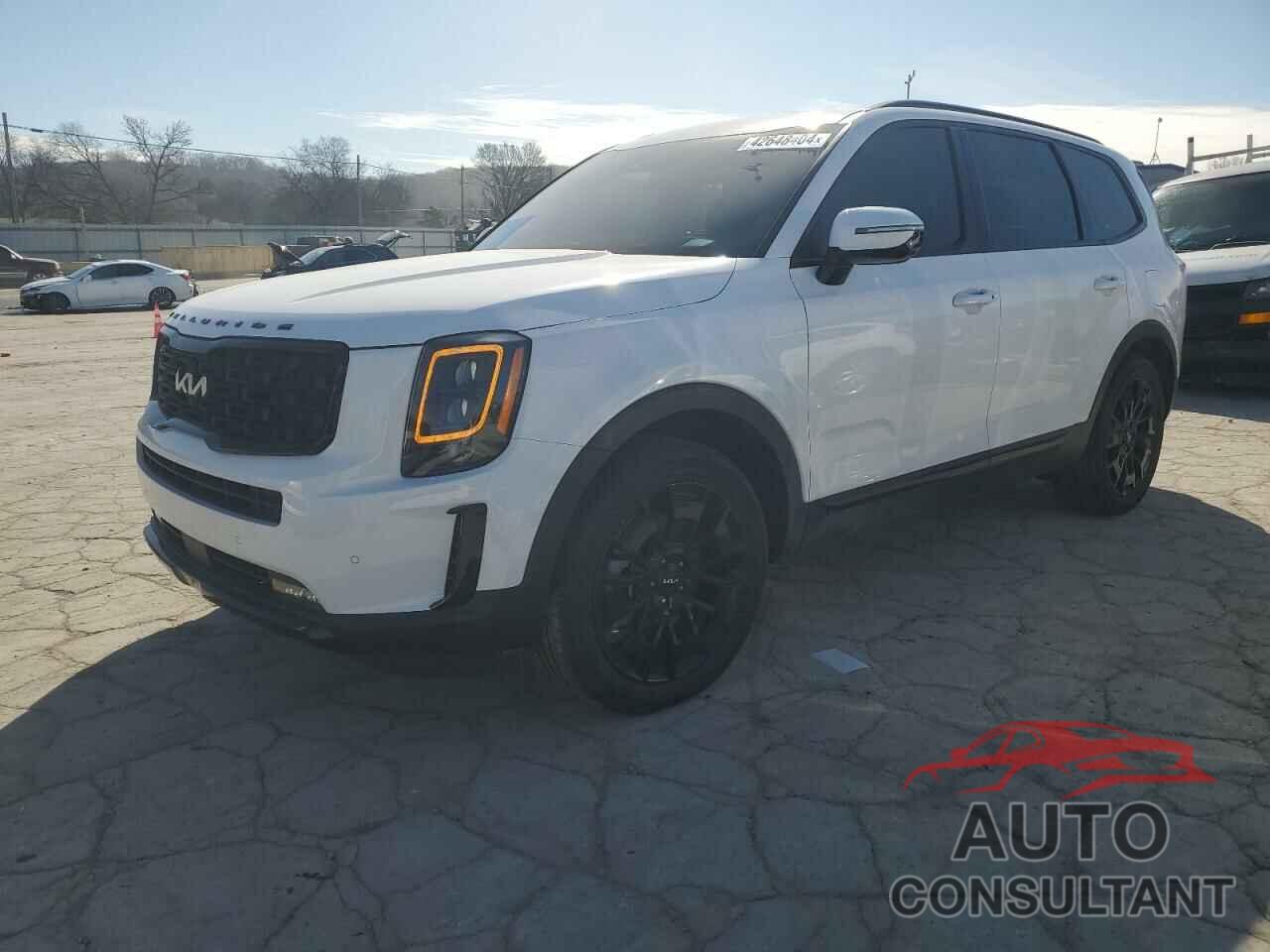 KIA TELLURIDE 2022 - 5XYP5DHC7NG273704