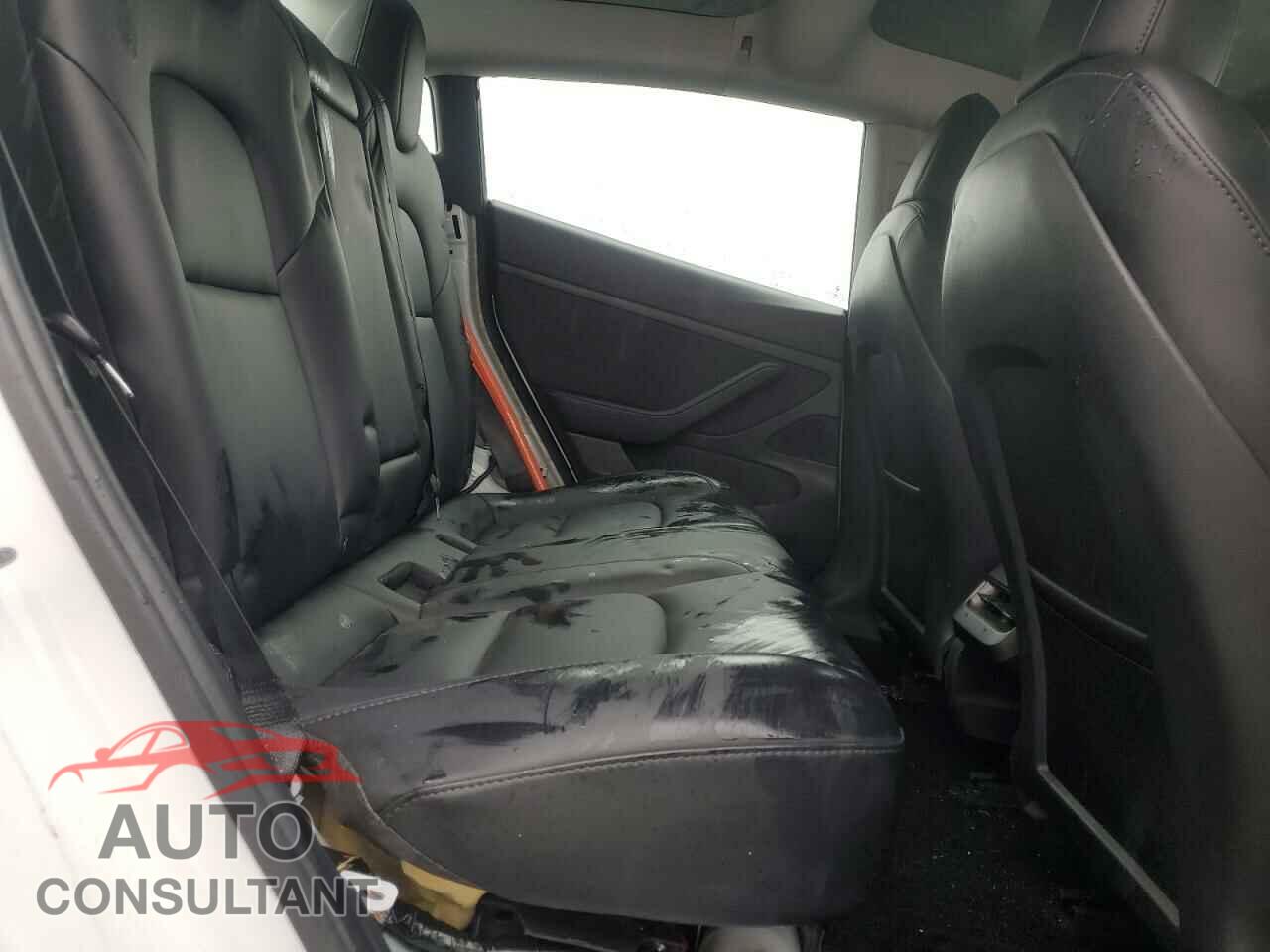 TESLA MODEL 3 2021 - 5YJ3E1EA9MF861531
