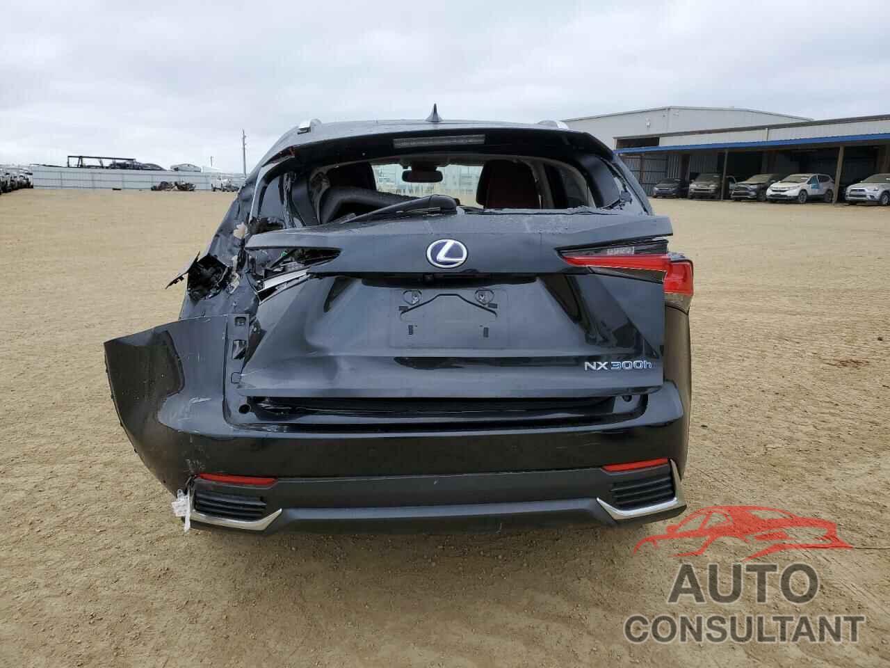 LEXUS NX 2019 - JTJBJRBZ6K2109394
