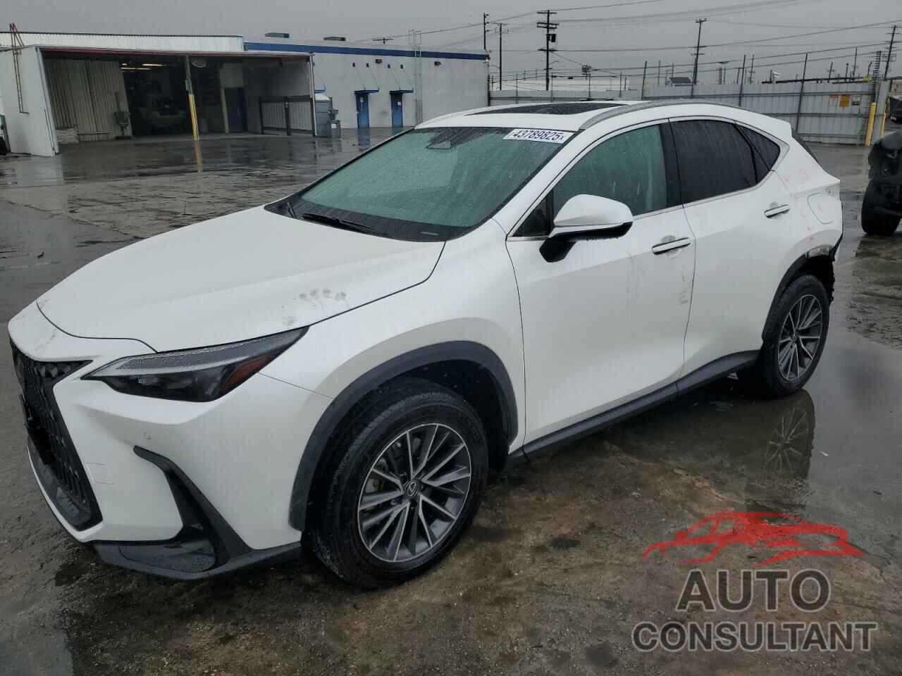 LEXUS NX 350H 2022 - JTJGKCEZ6N2000238