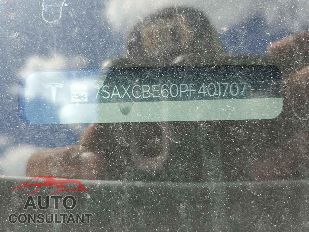 TESLA MODEL X 2023 - 7SAXCBE60PF401707