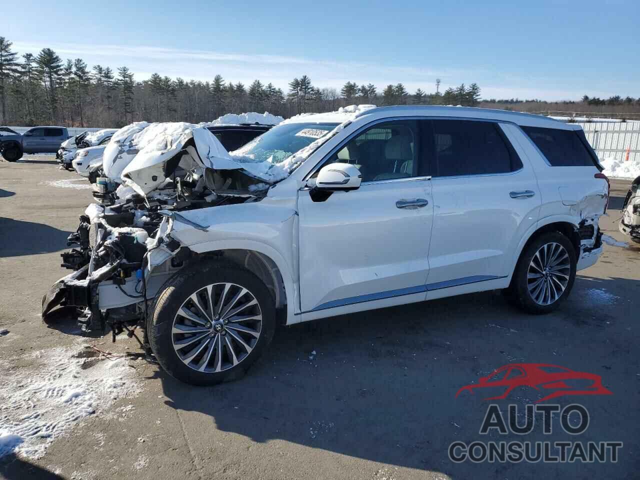 HYUNDAI PALISADE 2024 - KM8R7DGE0RU703708