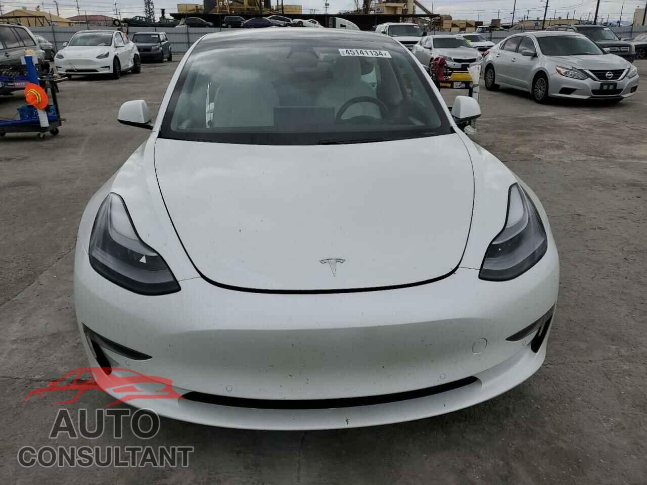 TESLA MODEL 3 2021 - 5YJ3E1EA5MF989748