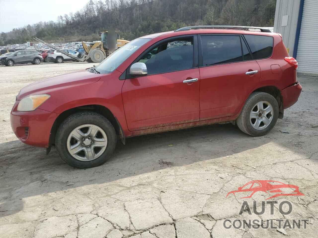 TOYOTA RAV4 2011 - 2T3BF4DV4BW118555