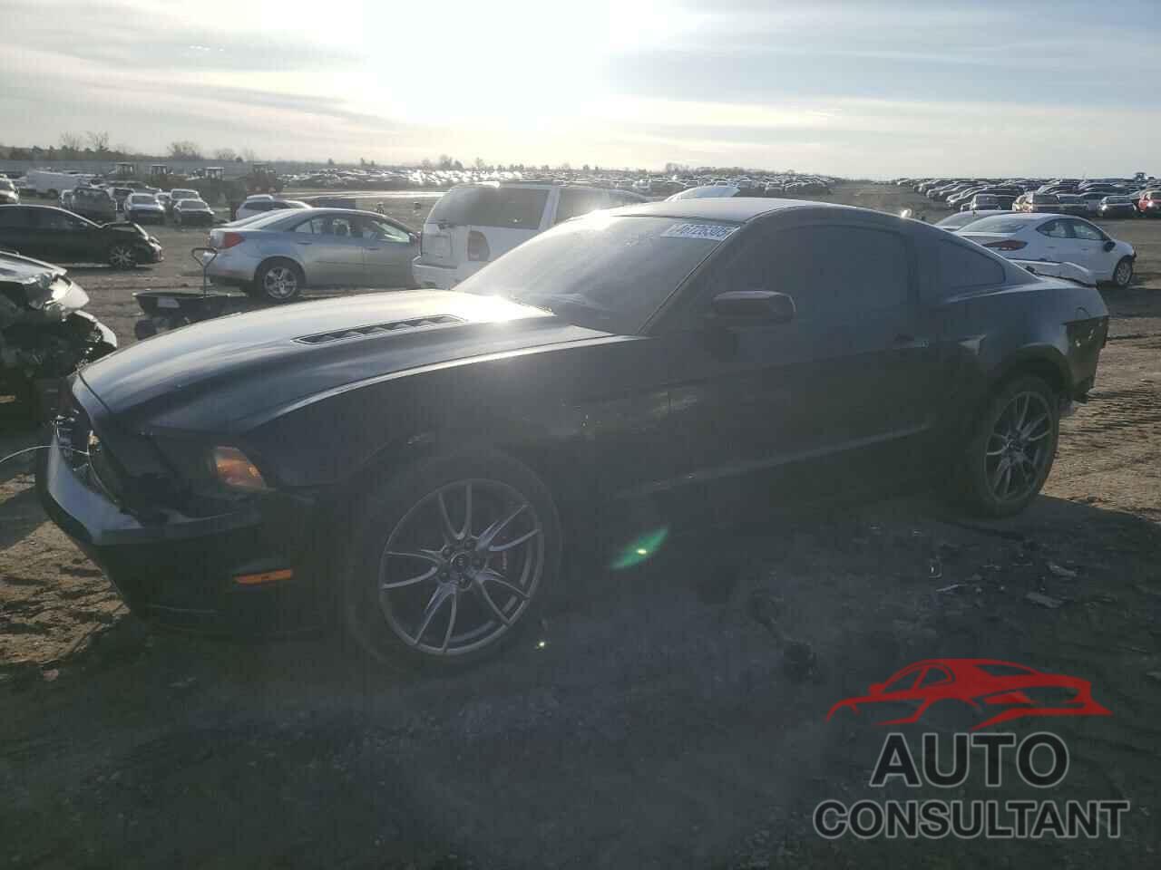 FORD MUSTANG 2014 - 1ZVBP8CFXE5244930