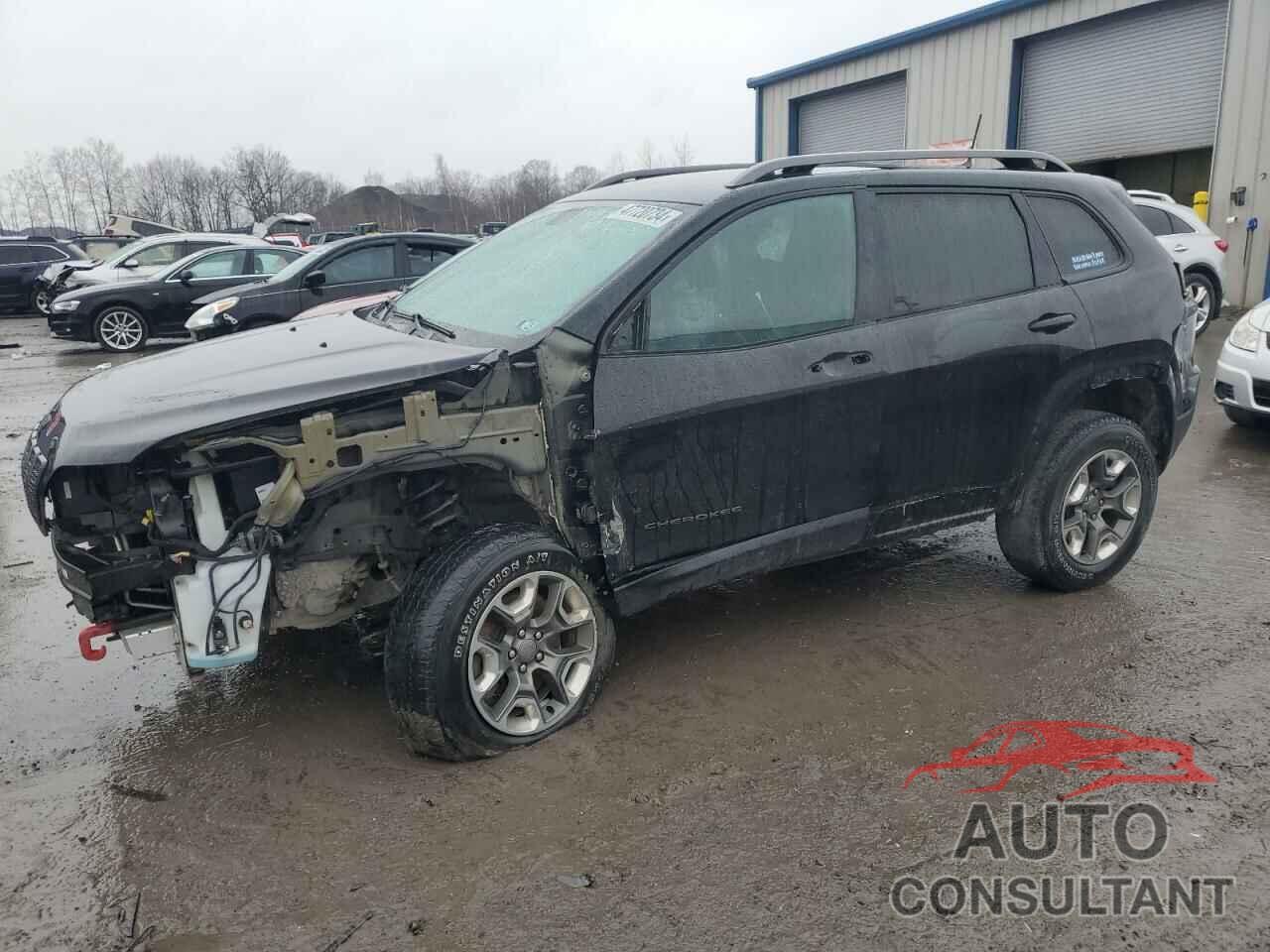 JEEP CHEROKEE 2019 - 1C4PJMBX9KD314660