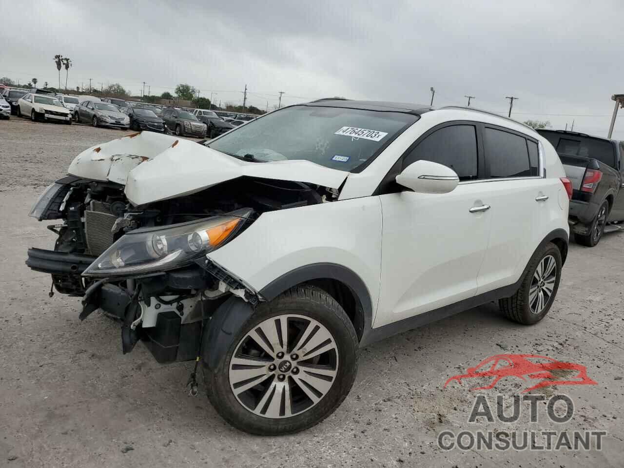 KIA SPORTAGE 2016 - KNDPC3AC1G7868915