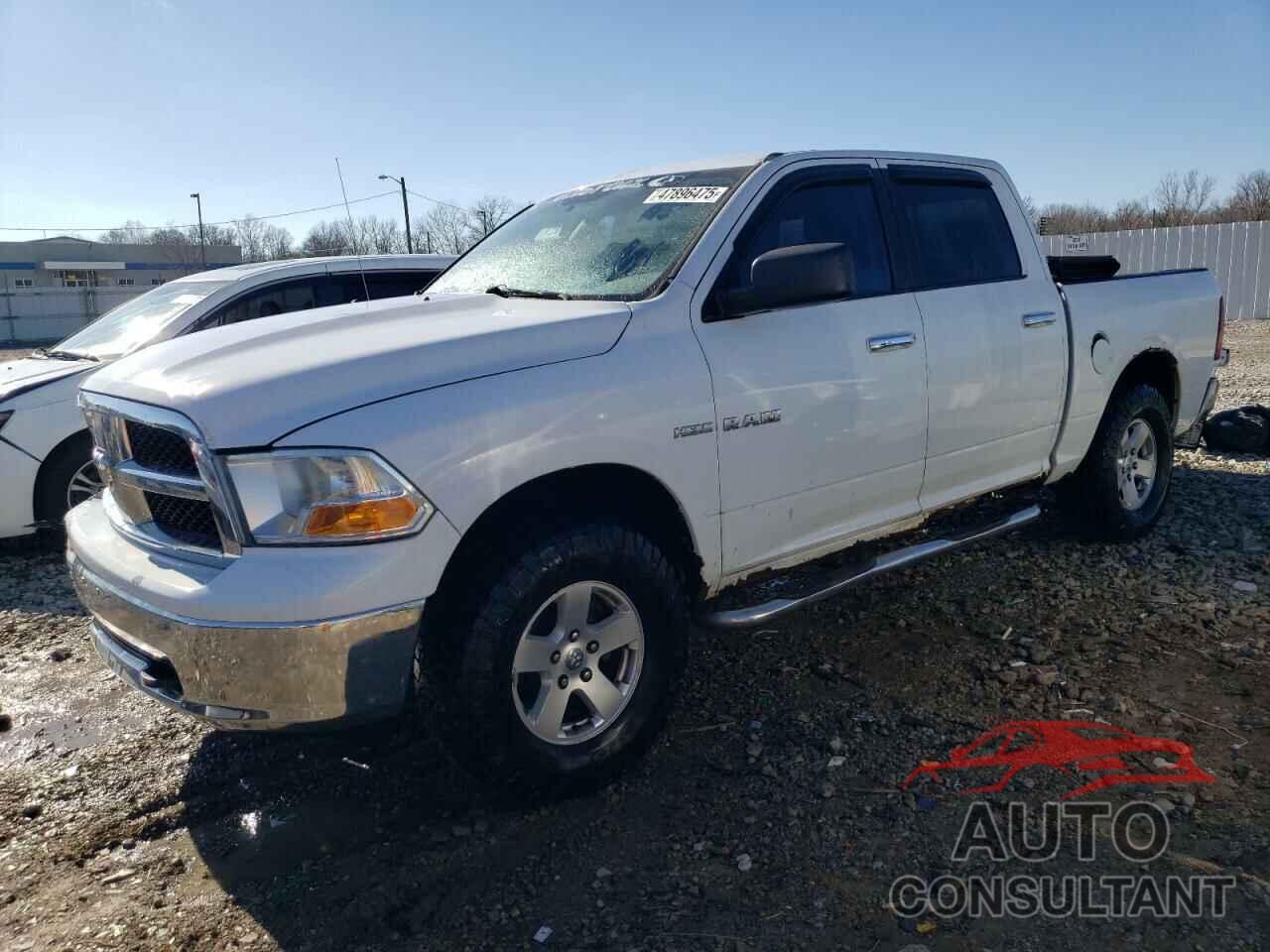 DODGE All Models 2010 - 1D7RV1CT6AS123995