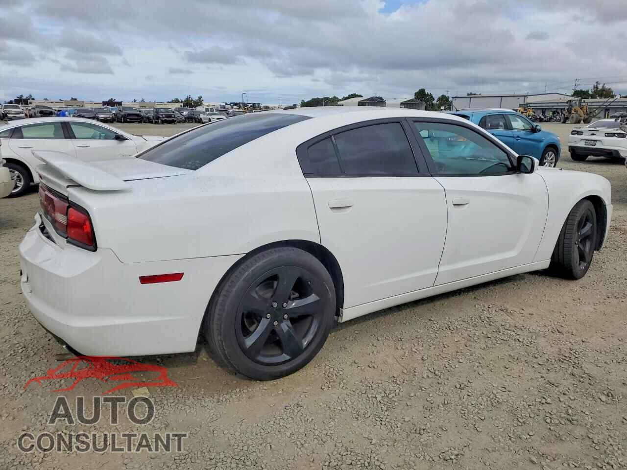 DODGE CHARGER 2014 - 2C3CDXHG2EH338390