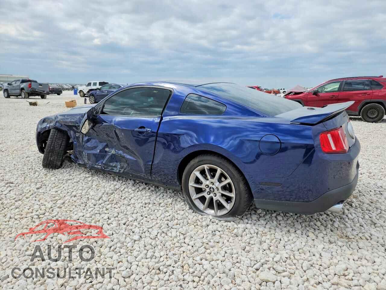 FORD MUSTANG 2010 - 1ZVBP8CH3A5165692