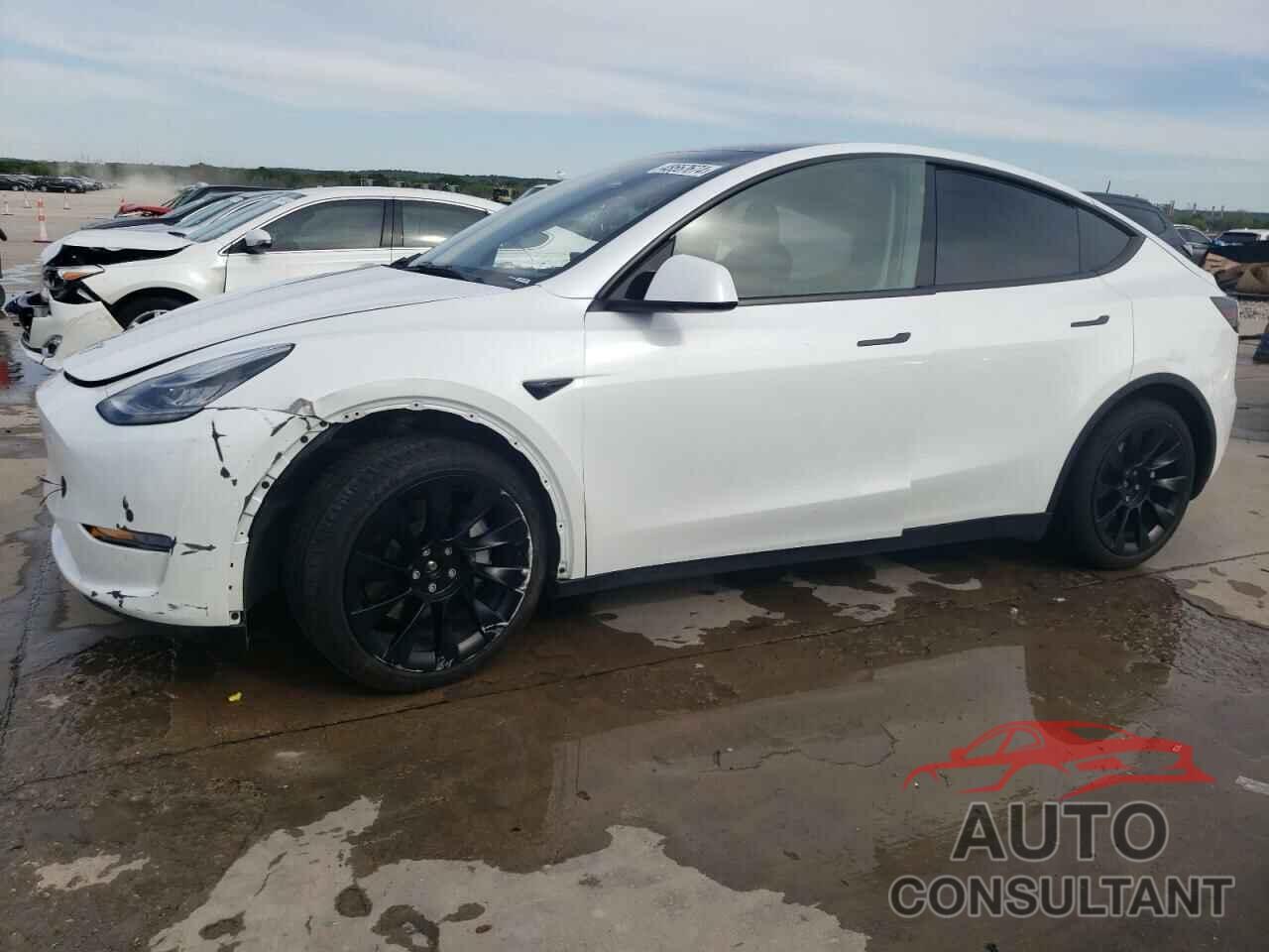 TESLA MODEL Y 2023 - 7SAYGAEE2PF585557