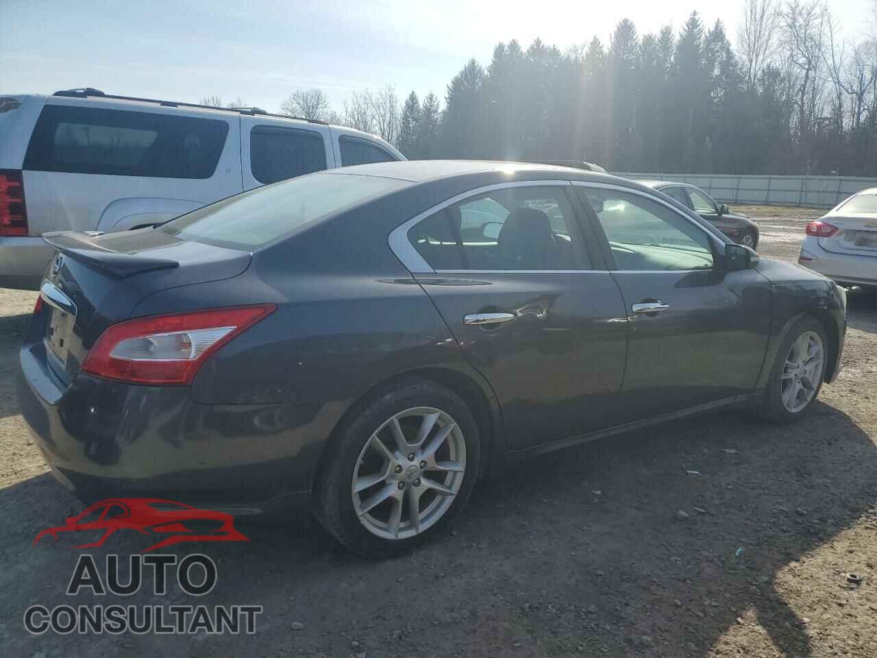 NISSAN MAXIMA 2009 - 1N4AA51E19C801532