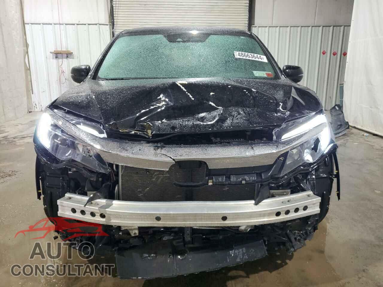 HONDA PILOT 2019 - 5FNYF6H53KB095128