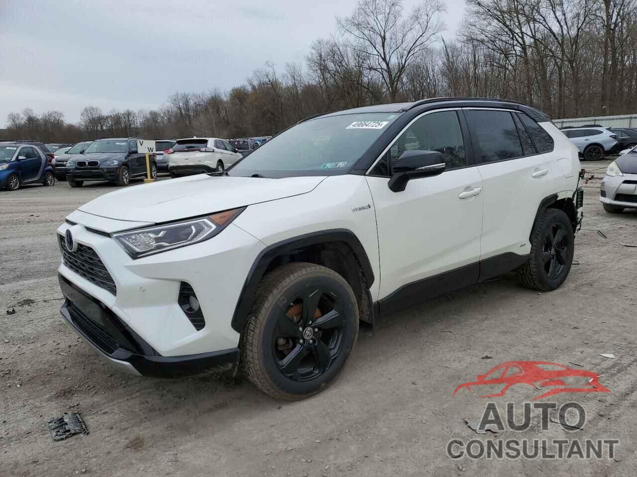 TOYOTA RAV4 2019 - JTMEWRFV4KD521858