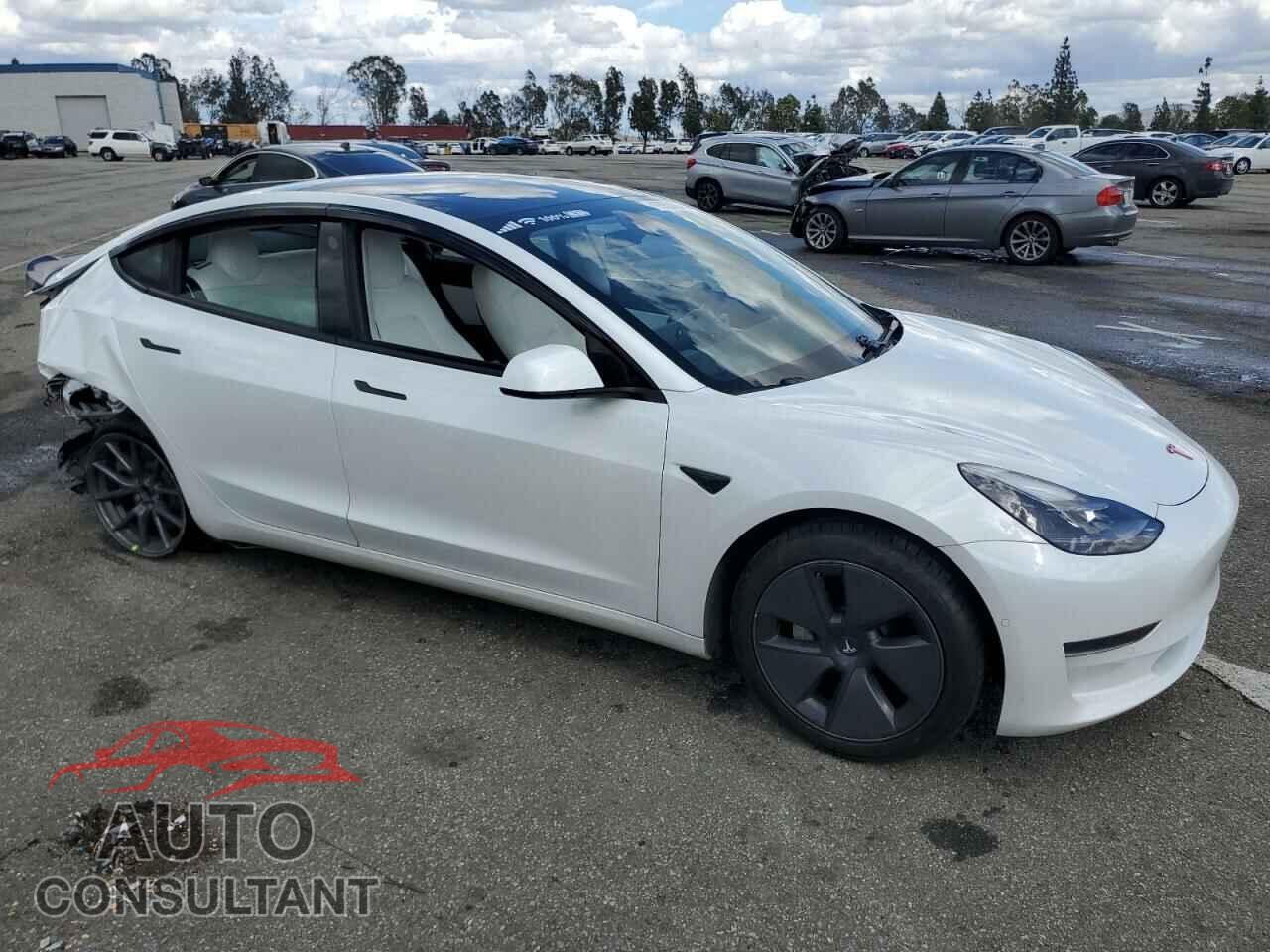 TESLA MODEL 3 2021 - 5YJ3E1EA5MF873191