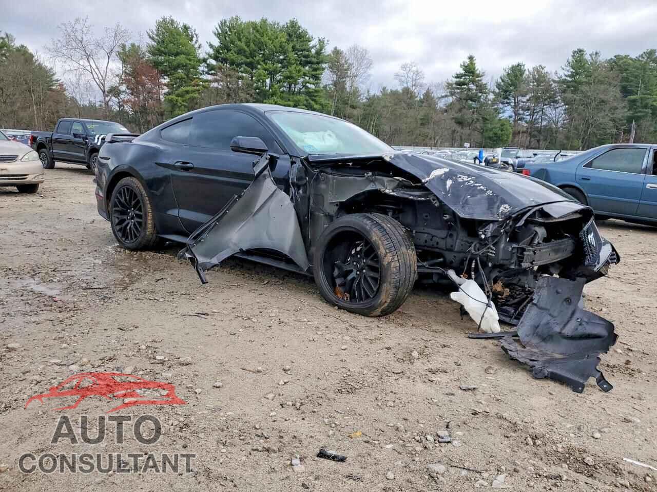 FORD MUSTANG 2019 - 1FA6P8CF6K5129022