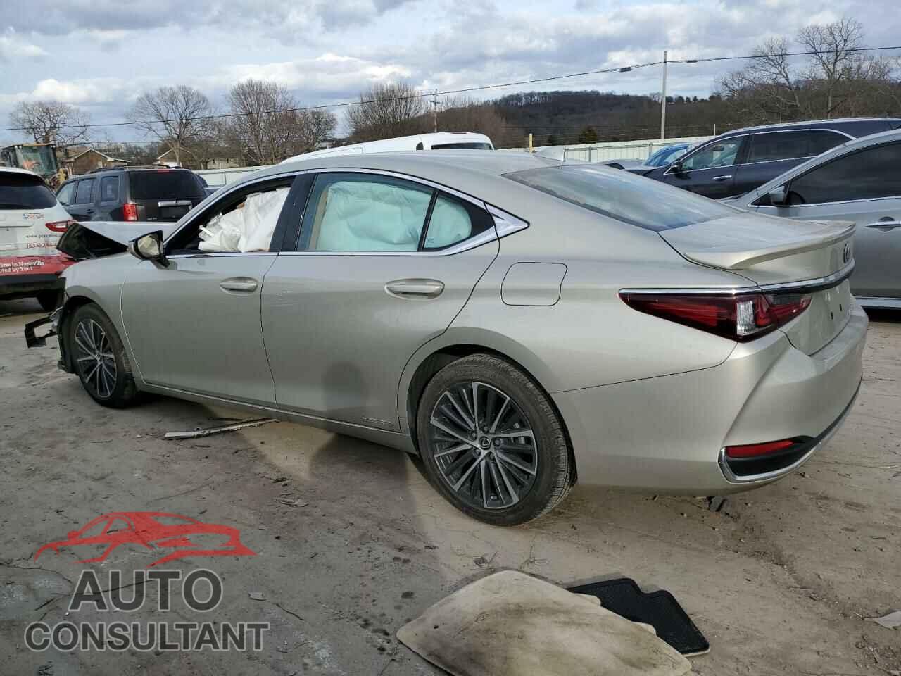 LEXUS ES300 2022 - 58ADA1C19NU014203
