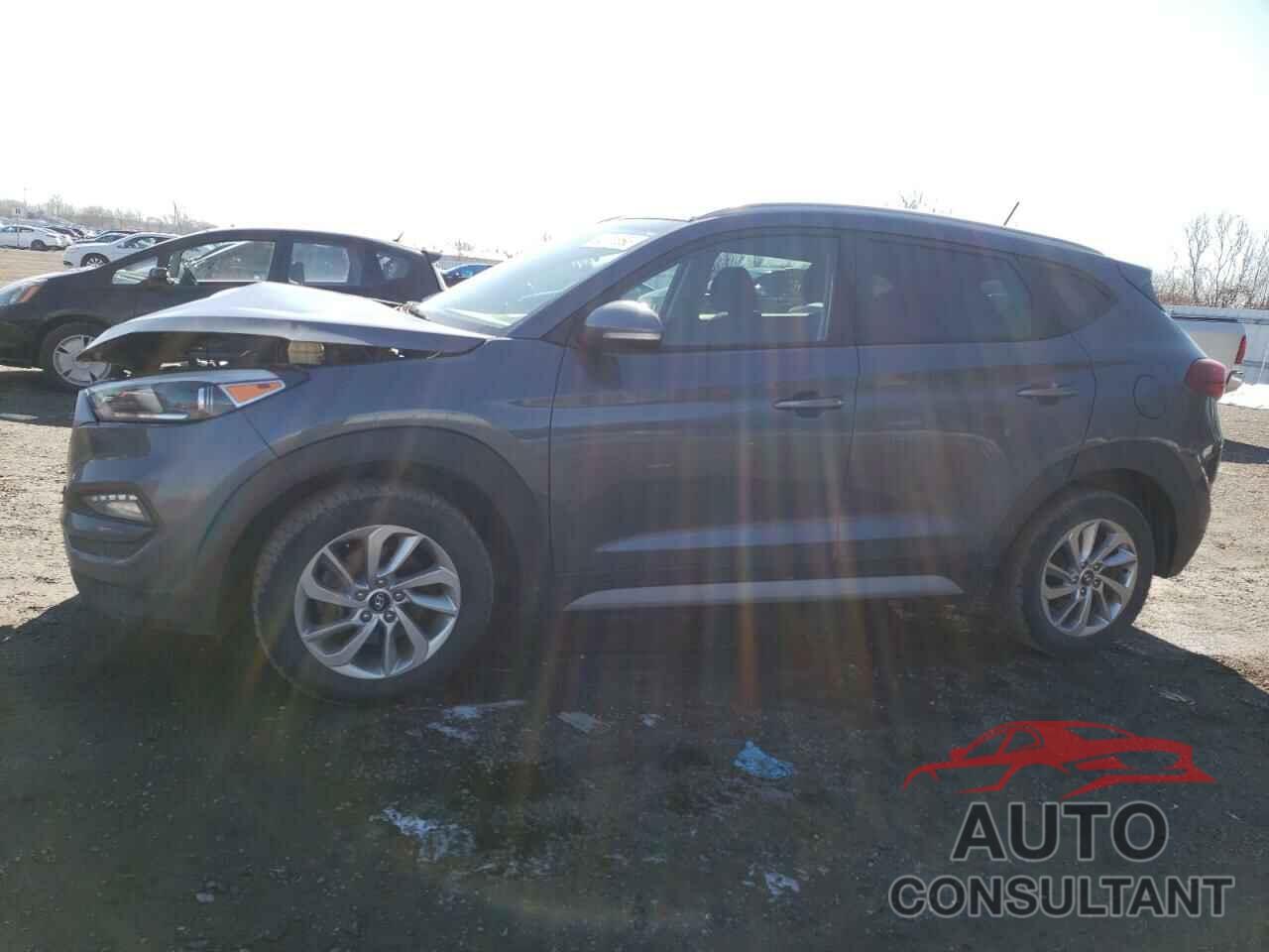 HYUNDAI TUCSON 2017 - KM8J33A40HU582583