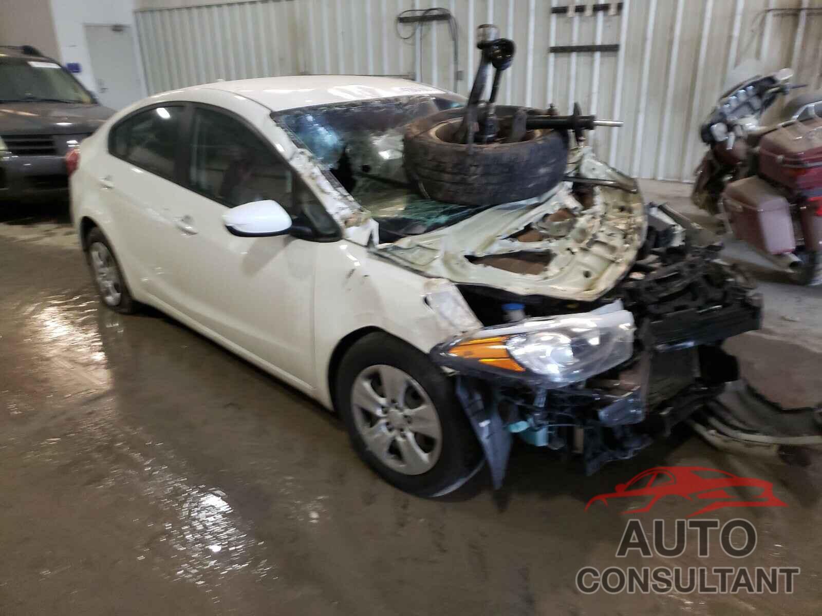 KIA FORTE 2016 - KNAFK4A66G5493224