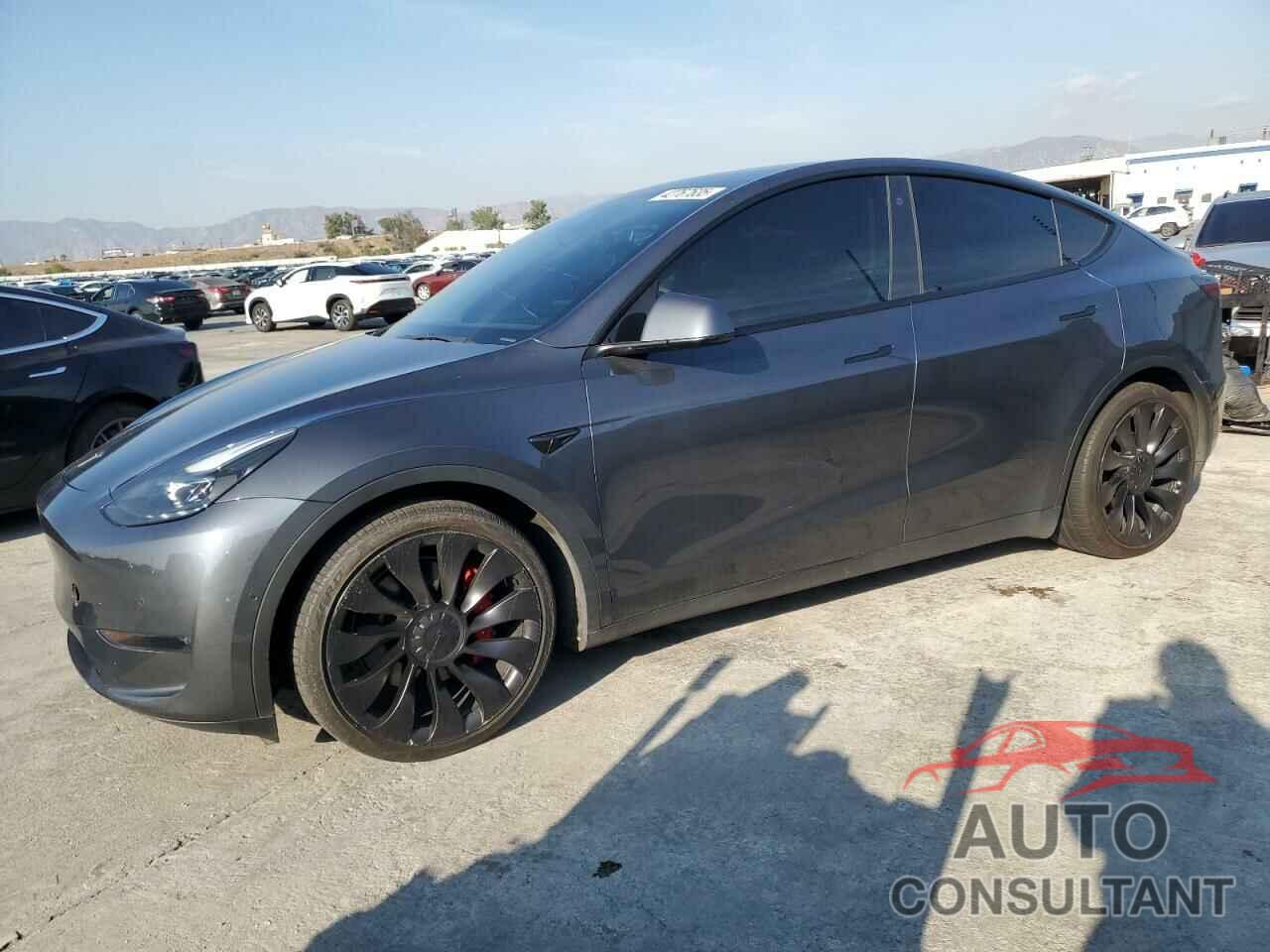 TESLA MODEL Y 2022 - 7SAYGDEF2NF455902