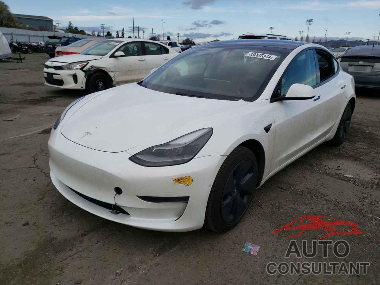 TESLA MODEL 3 2021 - 5YJ3E1EA2MF986984