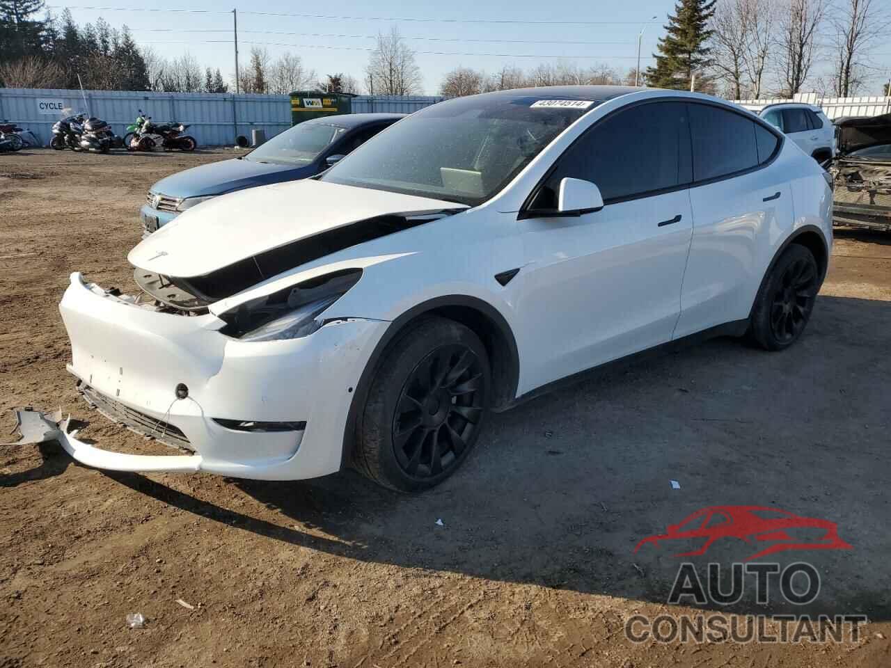 TESLA MODEL Y 2022 - 7SAYGDEE2NF449671