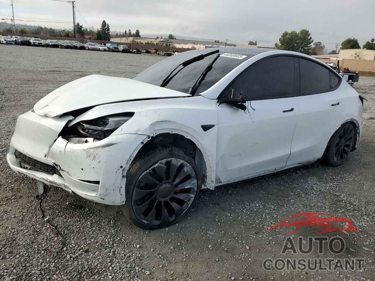 TESLA MODEL Y 2022 - 7SAYGDEFXNF568545