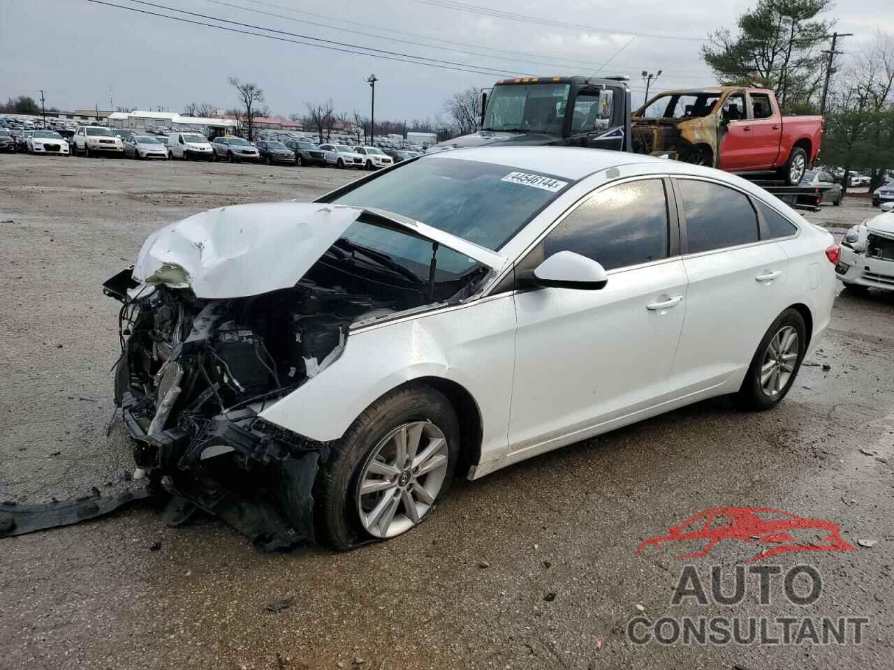 HYUNDAI SONATA 2016 - 5NPE24AFXGH319140