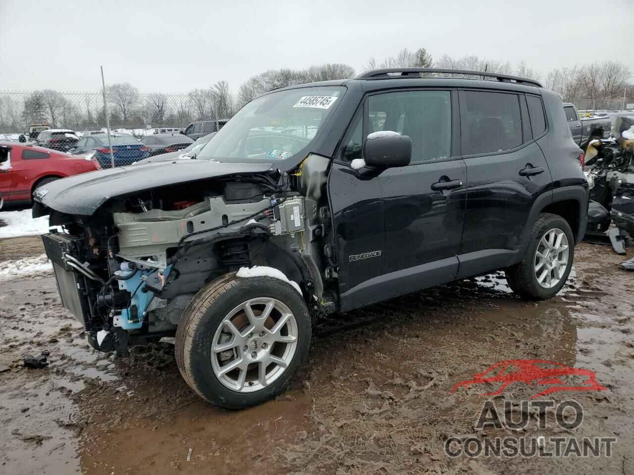 JEEP RENEGADE 2023 - ZACNJDB18PPP22446