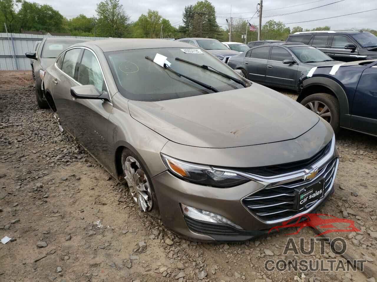 CHEVROLET MALIBU 2020 - 1G1ZD5ST9LF041950
