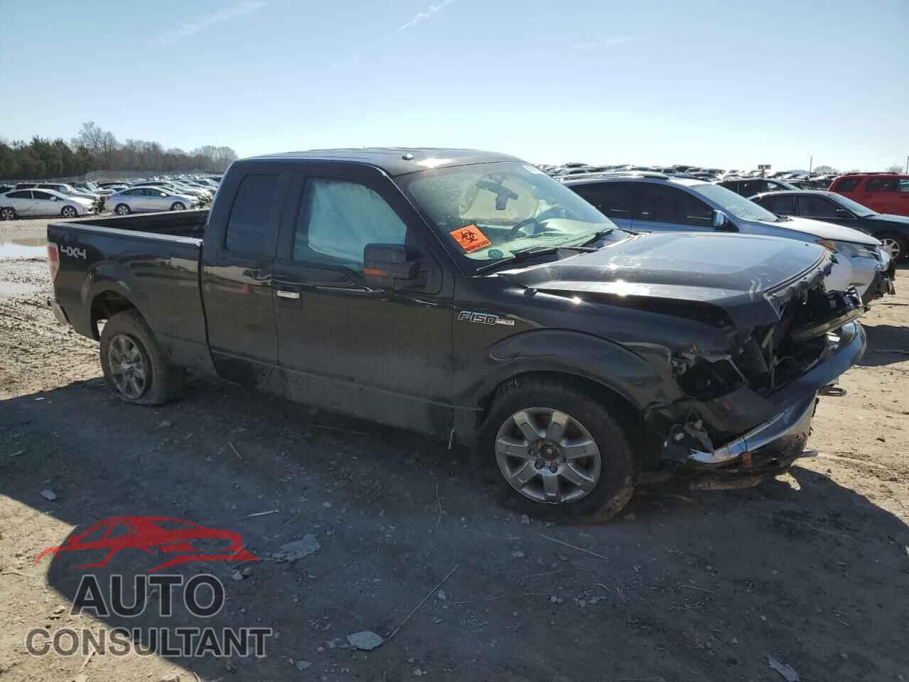 FORD F-150 2013 - 1FTFX1EF1DFD25039