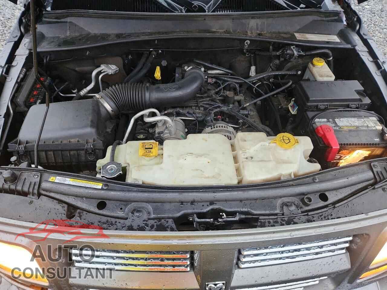 DODGE NITRO 2011 - 1D4PT4GK9BW606341